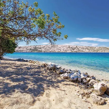 In Barbat With Wifi * Barbat na Rabu